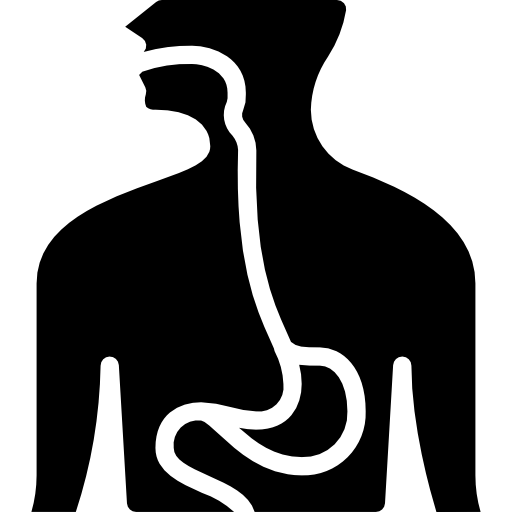 Endoscopia digestiva