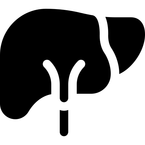 Esteatosis hepatica
